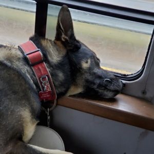 Meet your Posher, Sandy